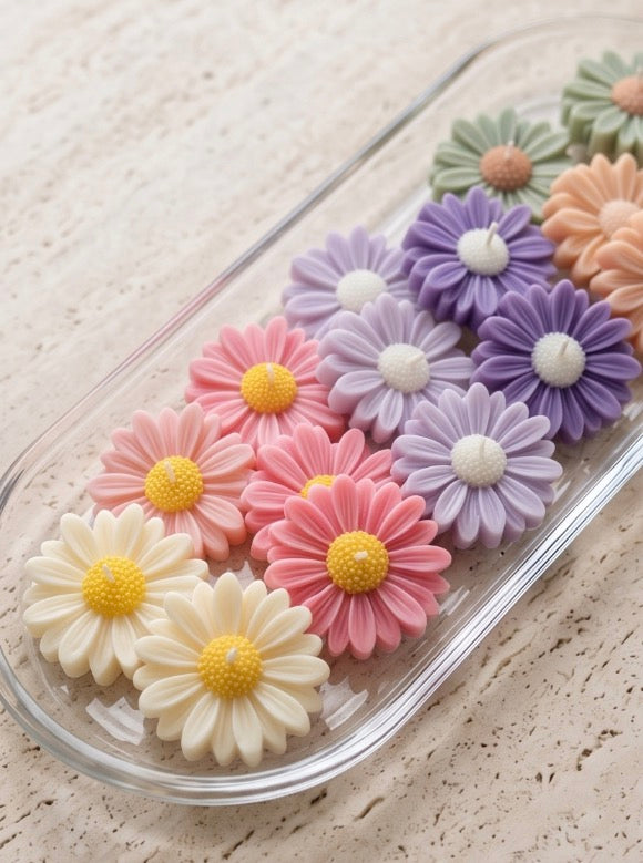 Floating Daisy