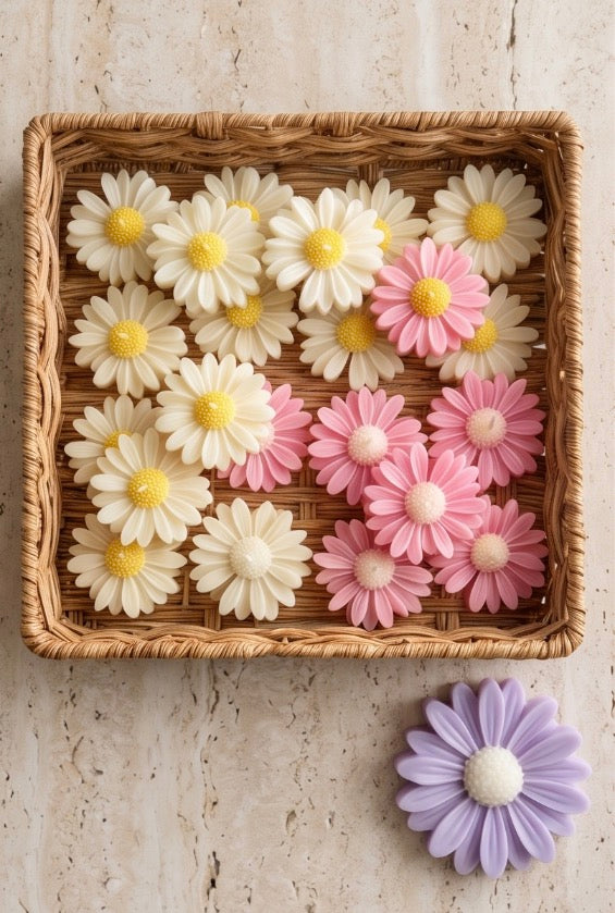Floating Daisy