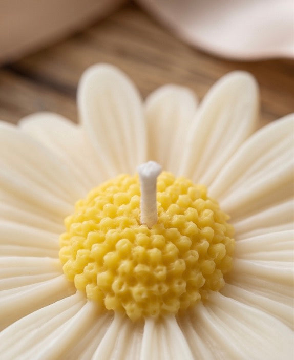 Floating Daisy